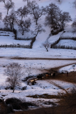 赤峰內(nèi)蒙牛屠宰場電話號碼-第1張圖片
