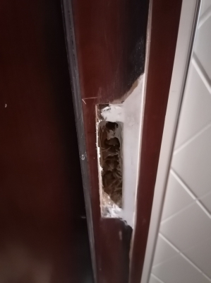 赤峰室內(nèi)門鎖維修電話地址查詢-第1張圖片