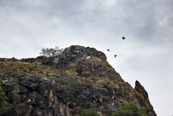 赤峰科奧月餅店地址電話號(hào)碼-第1張圖片