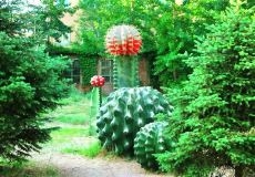 赤峰奇緣團購電話多少號-第1張圖片