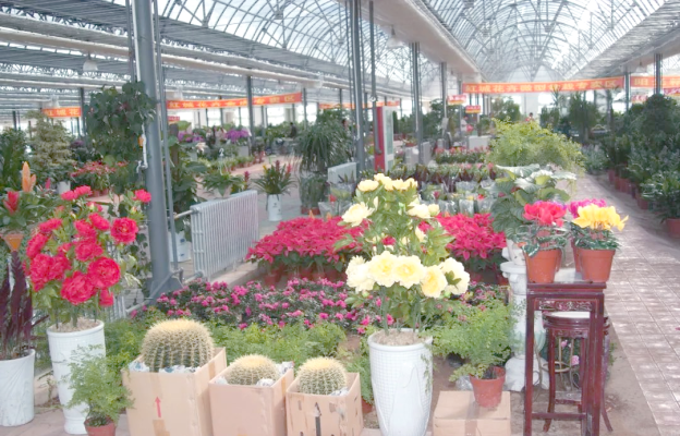 赤峰浪漫鮮花店地址電話號(hào)碼-第1張圖片