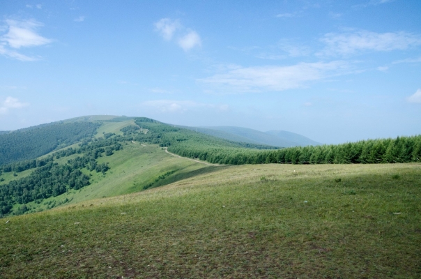 赤峰巧匠貼膜廠地址電話號(hào)碼-第1張圖片