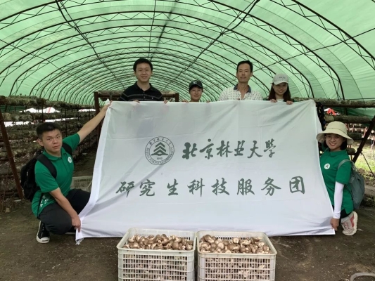 赤峰草莓團(tuán)購電話地址查詢號(hào)碼-第1張圖片