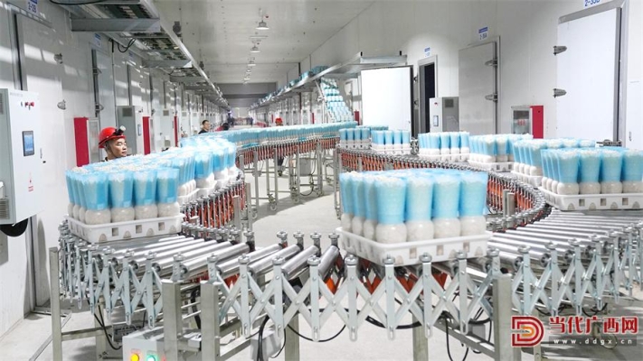 赤峰分揀工廠電話多少號(hào)碼-第1張圖片