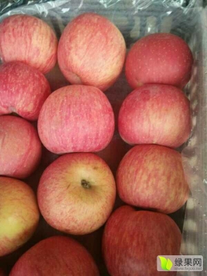 赤峰散貨冷庫電話號碼多少號-第1張圖片