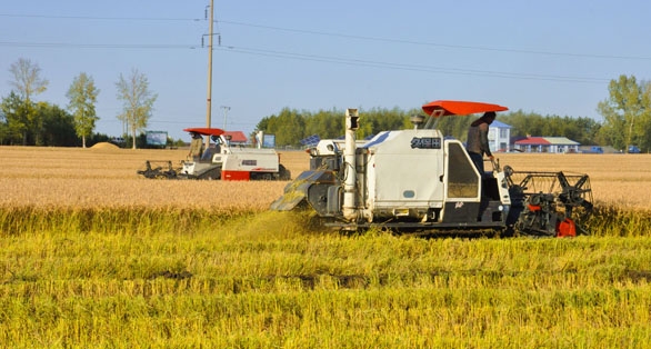 赤峰利盈農(nóng)機銷售電話地址查詢-第1張圖片