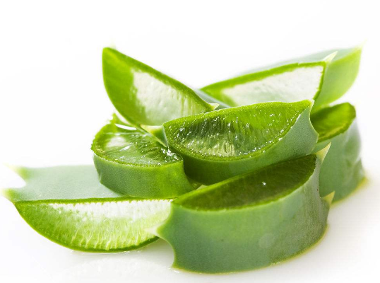 赤峰賣鮮蘆薈的電話地址是多少-第1張圖片