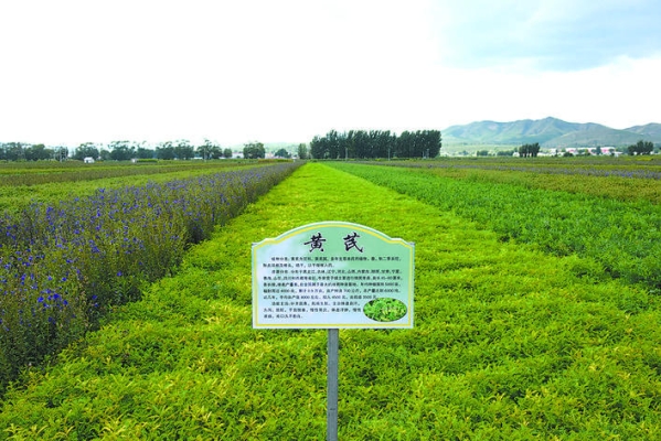 赤峰到牛家營(yíng)子小車電話號(hào)碼-第1張圖片