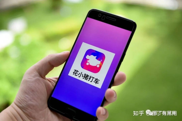 赤峰跑花小豬公司電話(huà)號(hào)碼-第1張圖片