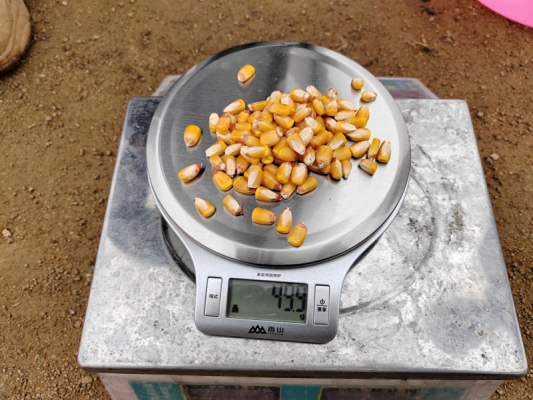 赤峰市農(nóng)村物流電話號碼-第1張圖片