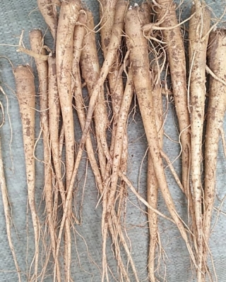 赤峰牛營子醫(yī)院電話號碼是多少-第1張圖片