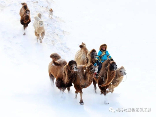 通遼到赤峰最新拼車電話號碼-第1張圖片