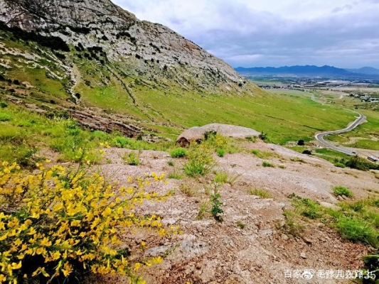 赤峰巴林左旗有花店電話嗎多少-第1張圖片