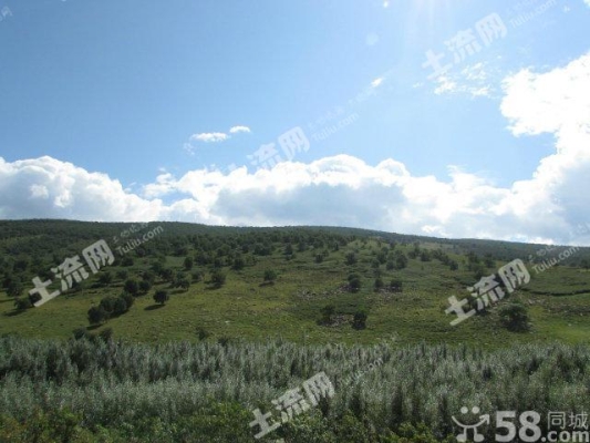 赤峰市勇敢牧場電話地址查詢-第1張圖片