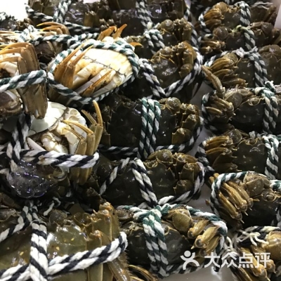 赤峰八爪魚海鮮飯店電話號碼-第1張圖片