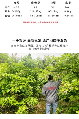 赤峰檸檬鮮果店電話號碼多少-第1張圖片