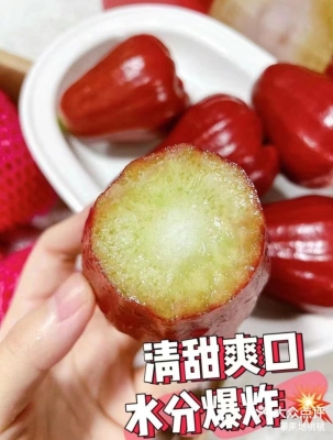 赤峰水果店蓮霧店電話號碼-第1張圖片