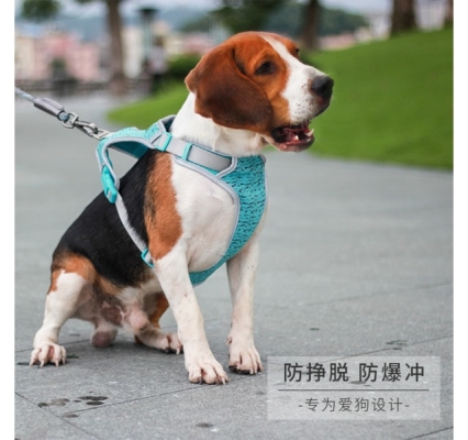 赤峰市寵物售賣店電話號(hào)碼-第1張圖片