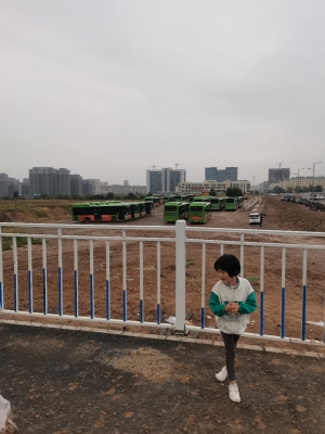 赤峰市松山區(qū)林業(yè)局-第1張圖片