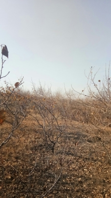 赤峰乃林病毒防控電話號(hào)碼-第1張圖片