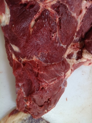 赤峰驢蹄子批發(fā)電話地址查詢-第1張圖片