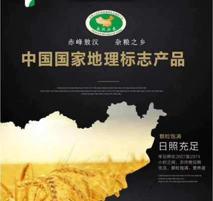 赤峰京東服務(wù)中心電話地址查詢-第1張圖片