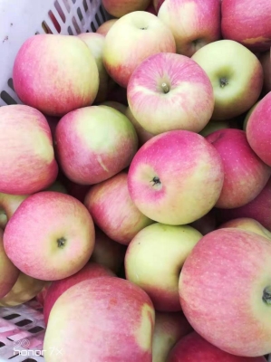 赤峰城蘋果專賣店電話號碼-第1張圖片