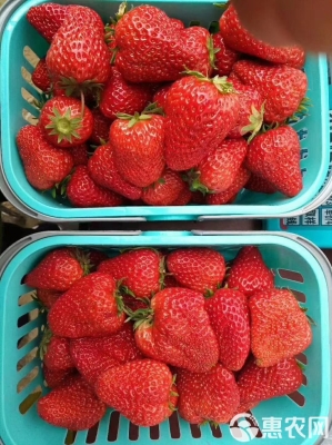 赤峰肥料葉面肥銷售電話號(hào)碼-第1張圖片