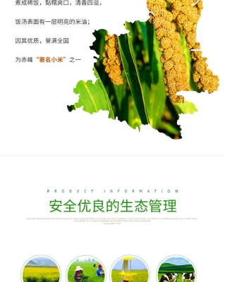 赤峰小米收購(gòu)商電話號(hào)碼查詢(xún)-第1張圖片