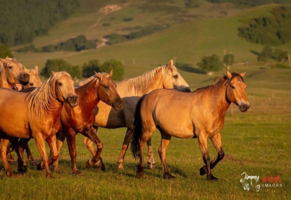 赤峰振邦汽修廠電話號碼-第1張圖片