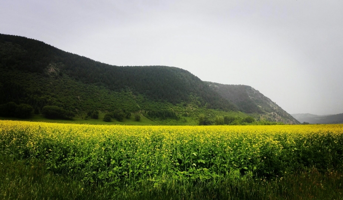 赤峰元寶山磚廠電話-第1張圖片
