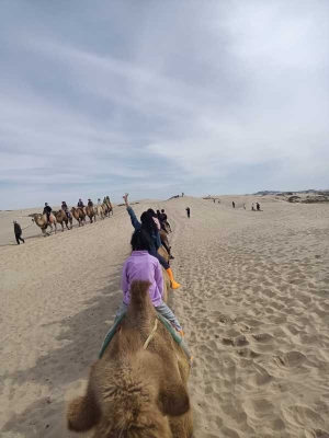 大連到赤峰大巴車多少錢-第1張圖片