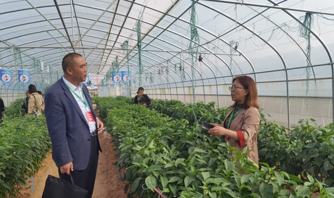 赤峰蔬菜代銷電話號(hào)碼查詢-第1張圖片