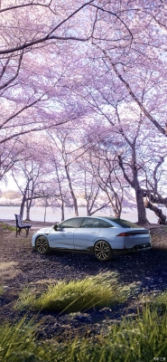 赤峰小鵬出售電話是多少號-第1張圖片