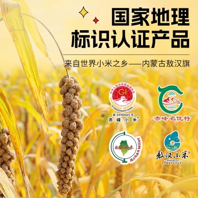 赤峰市小米家電售后電話號(hào)碼-第1張圖片