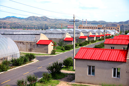 赤峰種苗公司電話多少號碼-第1張圖片