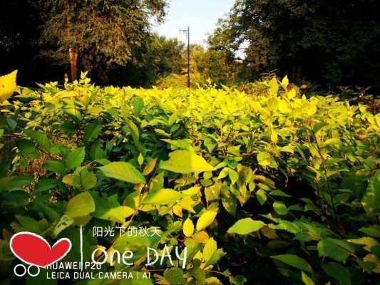 赤峰私家莊園電話多少號-第1張圖片