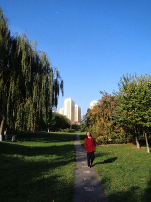 赤峰石博園玉龍書屋電話號(hào)碼-第1張圖片