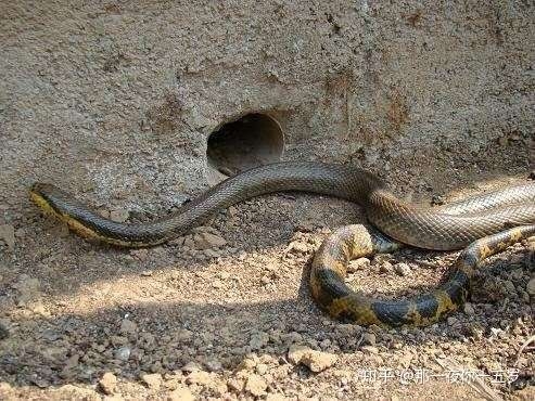 赤峰巨宇電器電話多少號(hào)-第1張圖片