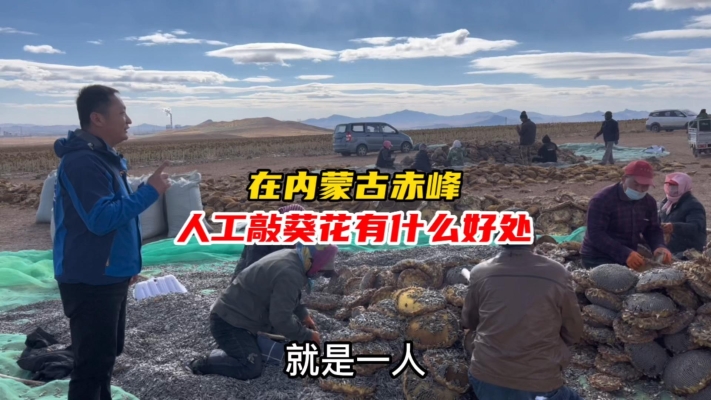 新疆到赤峰物流電話地址查詢-第1張圖片