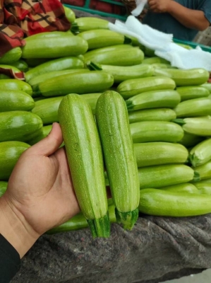 赤峰土豆冷庫加工廠電話號碼-第1張圖片