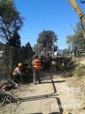 赤峰收舊木頭電話多少號-第1張圖片