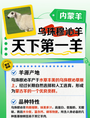 赤峰羊肉禮盒定制廠家電話號碼-第1張圖片