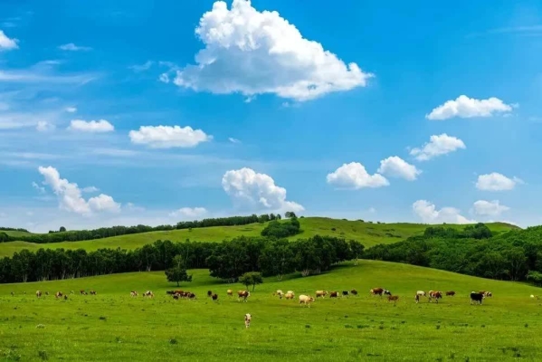 赤峰吉祥養(yǎng)生館電話號碼查詢-第1張圖片