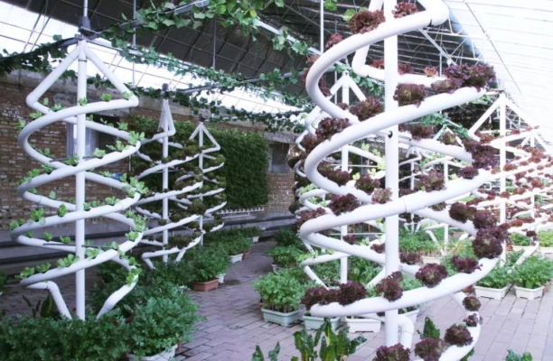 赤峰富力嘉年華酒店電話號(hào)碼-第1張圖片