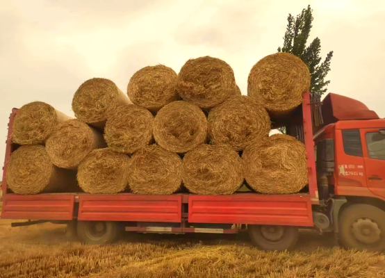 赤峰莜麥秸稈廠家電話號(hào)碼-第1張圖片