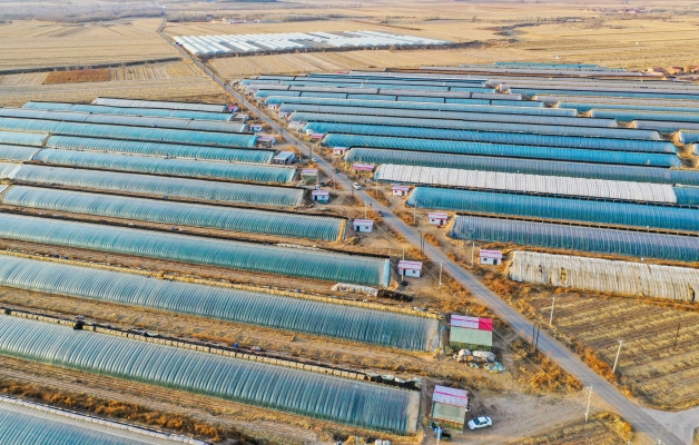 赤峰寧城b2駕校電話號(hào)碼-第1張圖片