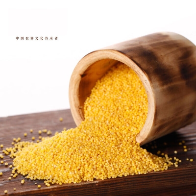 赤峰北方廣告電話號碼-第1張圖片