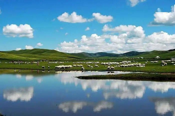 赤峰林西農(nóng)行聯(lián)系電話號(hào)碼-第1張圖片