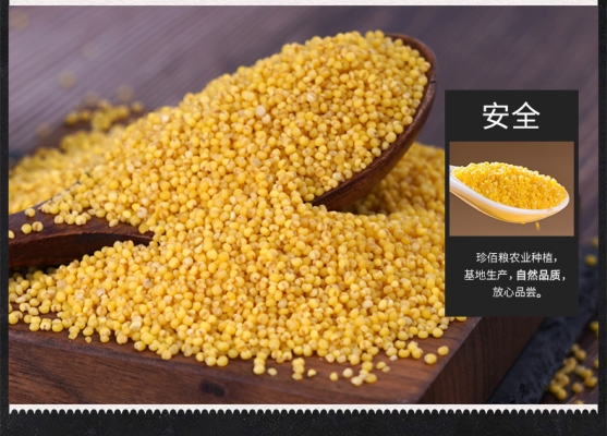 赤峰服裝袋廠電話地址查詢-第1張圖片